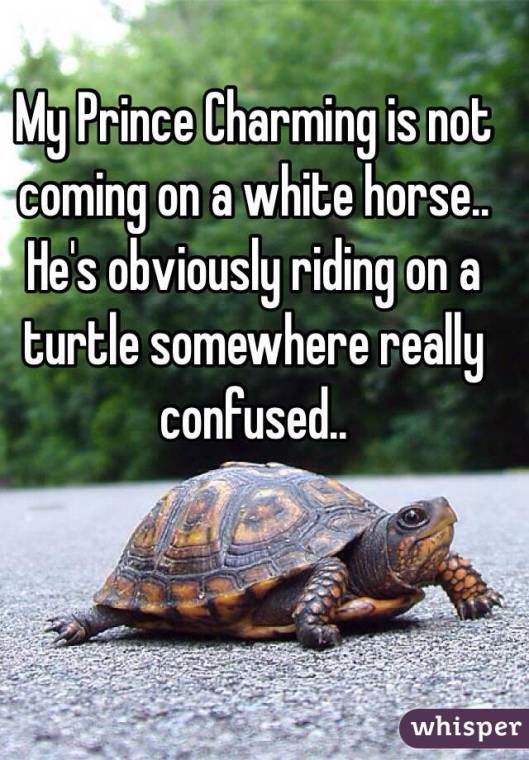 prince on a turtle